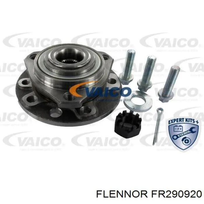 FR290920 Flennor Ступица колеса передняя