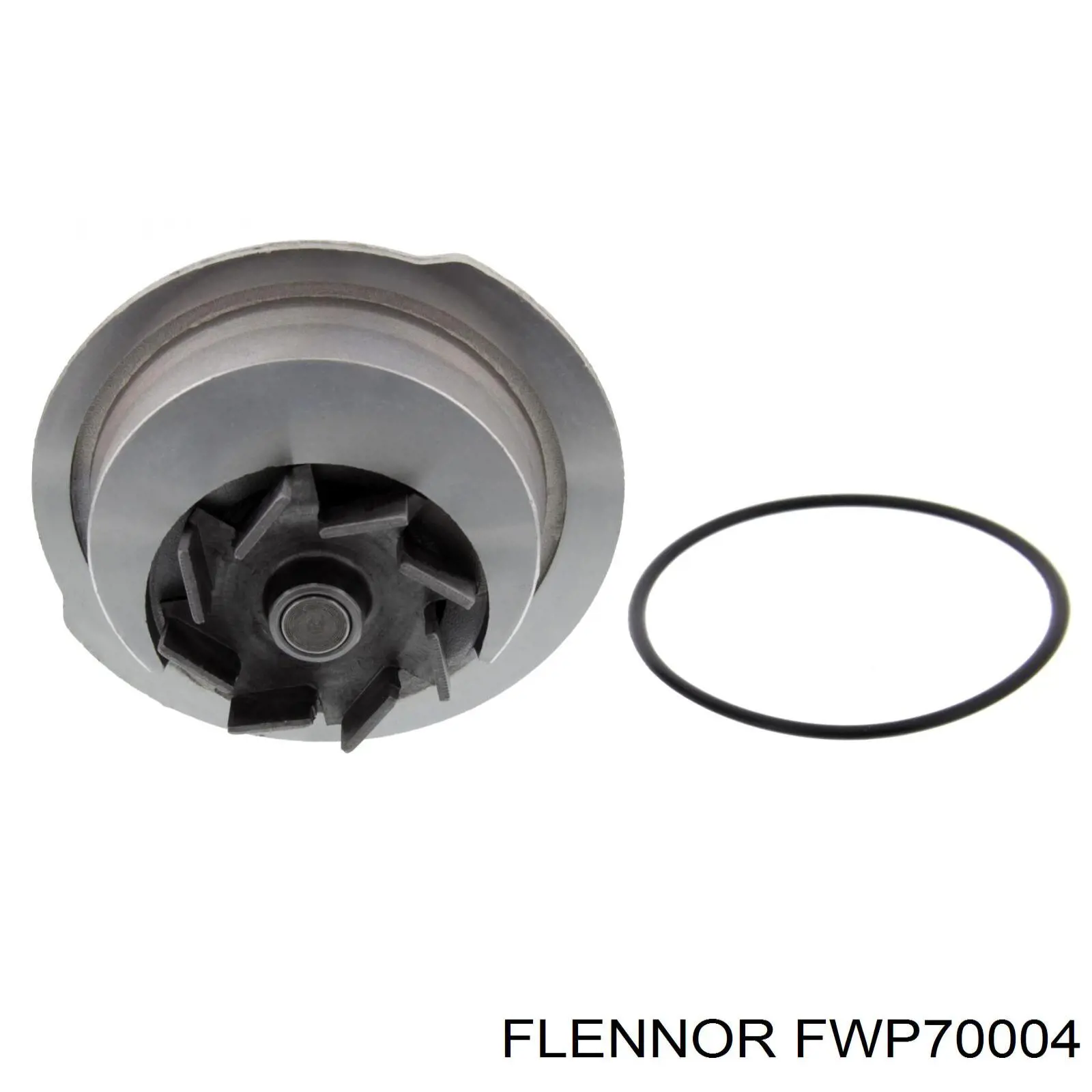 Помпа FWP70004 Flennor