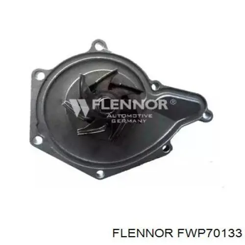 Помпа FWP70133 Flennor