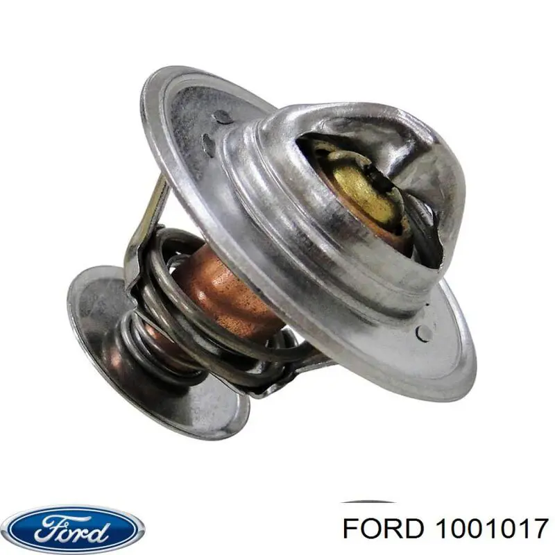 1001017 Ford 