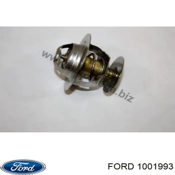 1001993 Ford Termostato