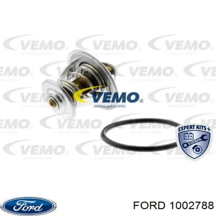 1002788 Ford термостат