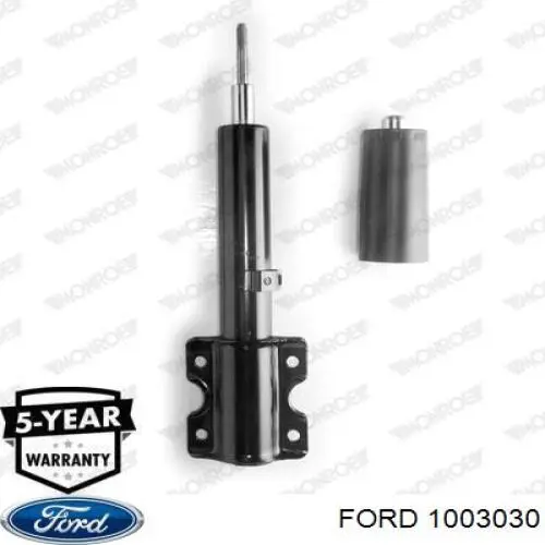 1003030 Ford 