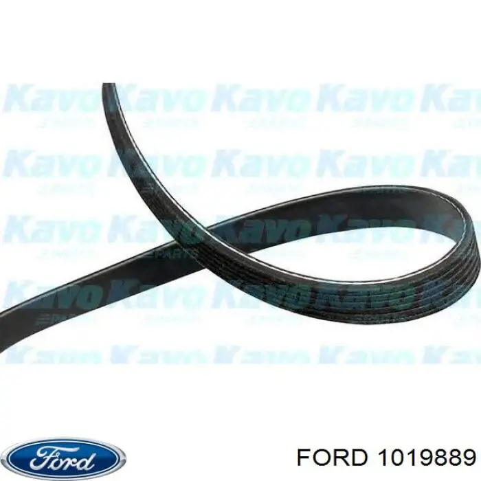 Купить 1019889 Ford Ремень генератора