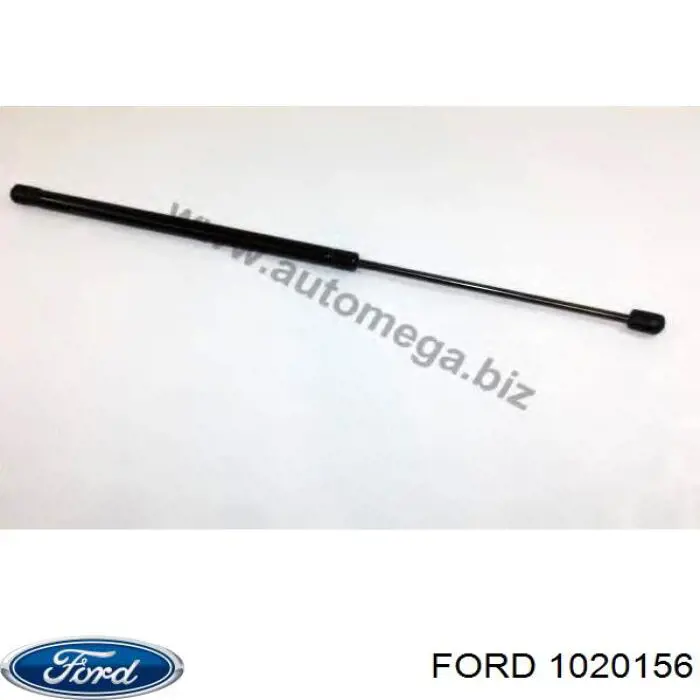 1020156 Ford амортизатор багажника
