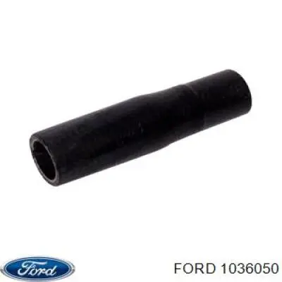 1036051 Ford 