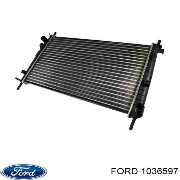 1036597 Ford радиатор