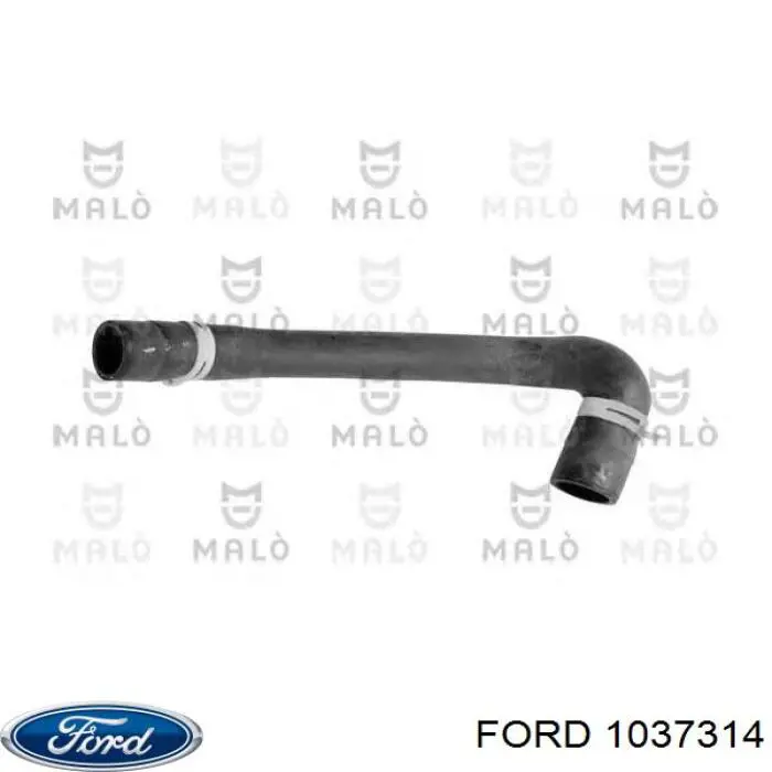 1037314 Ford шланг (патрубок радиатора охлаждения нижний)
