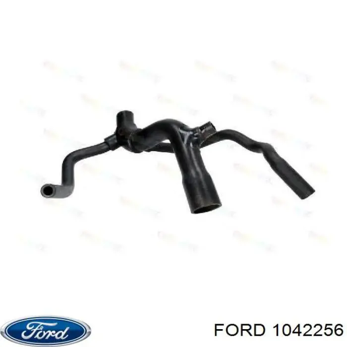 1042256 Ford шланг (патрубок радиатора охлаждения нижний)