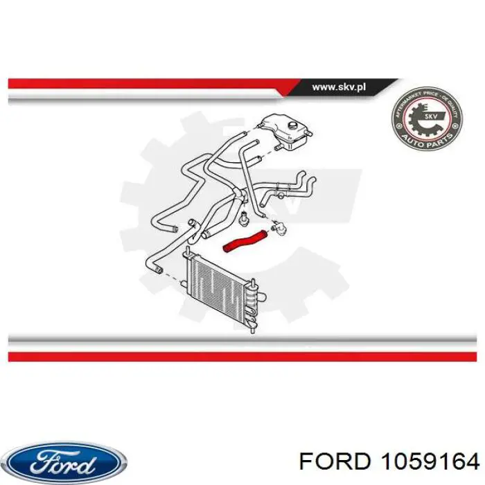 Шланг радиатора охлаждения Ford 1059164 цена, от 7.62 USD