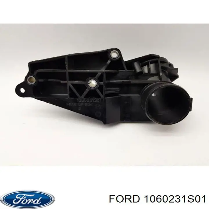  1060231S01 Ford