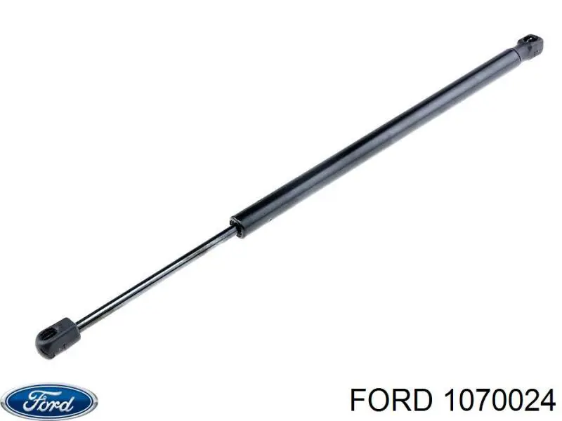 1070024 Ford амортизатор багажника