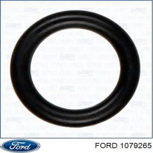 1079265 Ford 