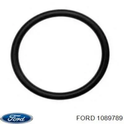 1089789 Ford 