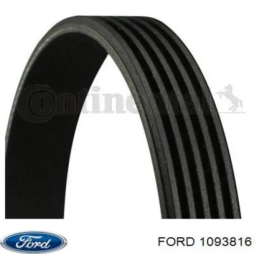 Клиновый ремень Ford 1093816 цена, от 7.35 USD