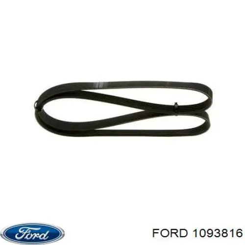Купить 1093816 Ford Ремень генератора