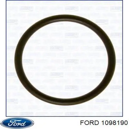 Vedante de caixa do termostato para Ford Transit (V347/8)