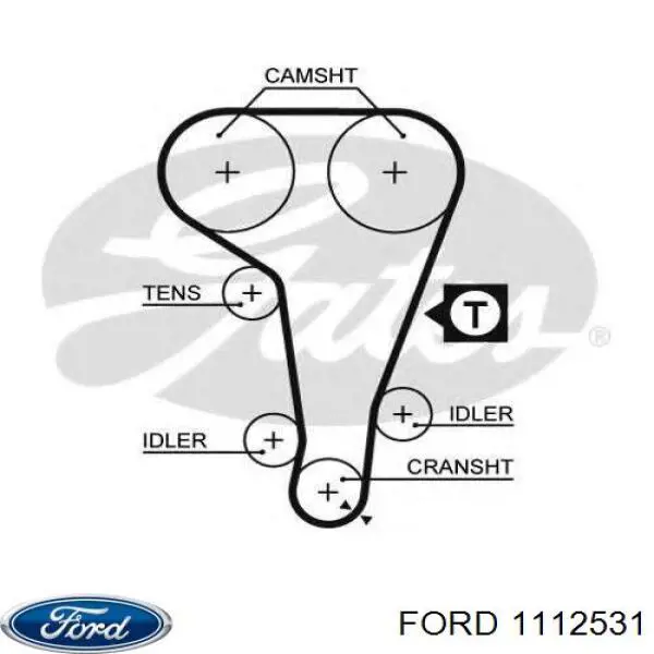 Correa distribución 1112531 Ford