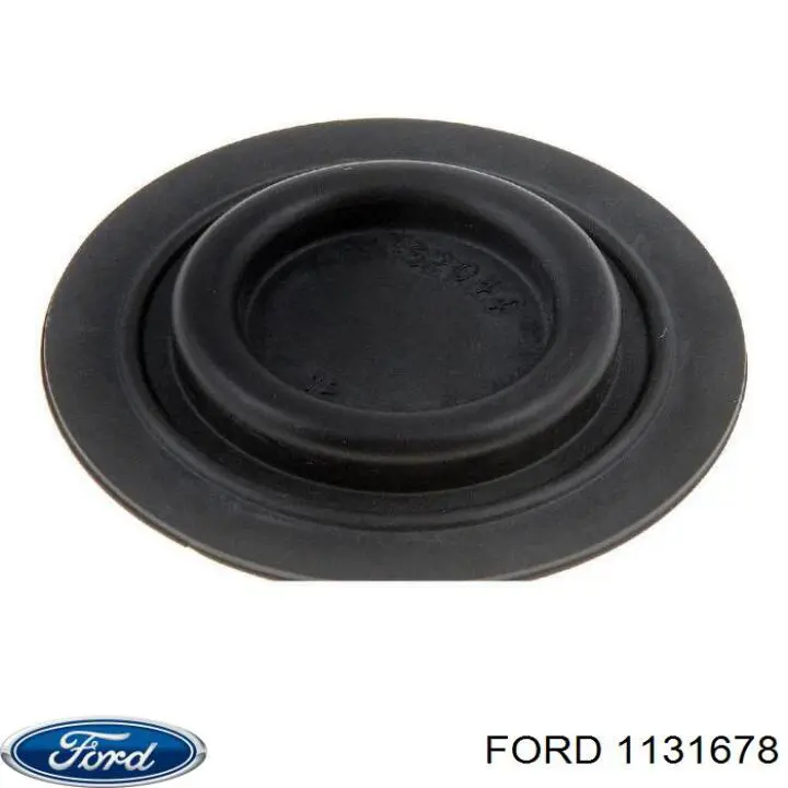  1131678 Ford