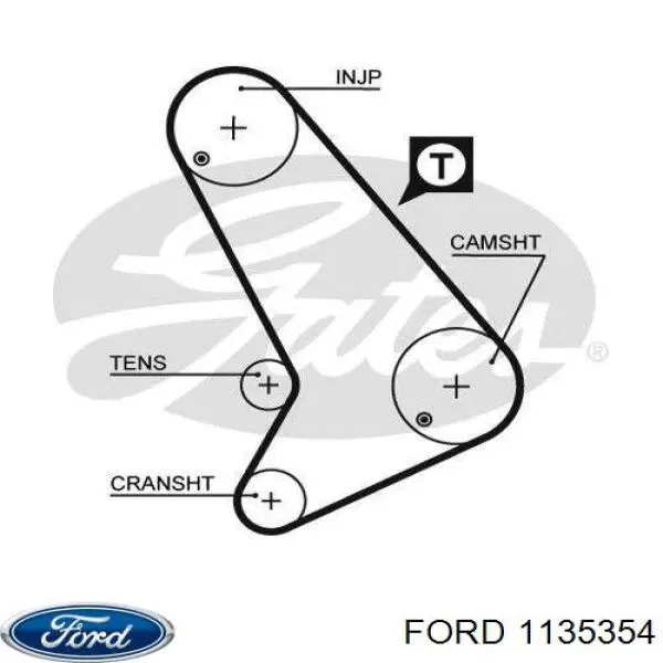 Зубчатый ремень Ford 1135354 цена, от 23.56 USD