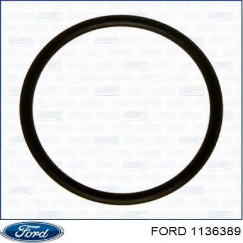  1136389 Ford