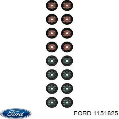 1151825 Ford сальник клапана (маслосъёмный впускного)