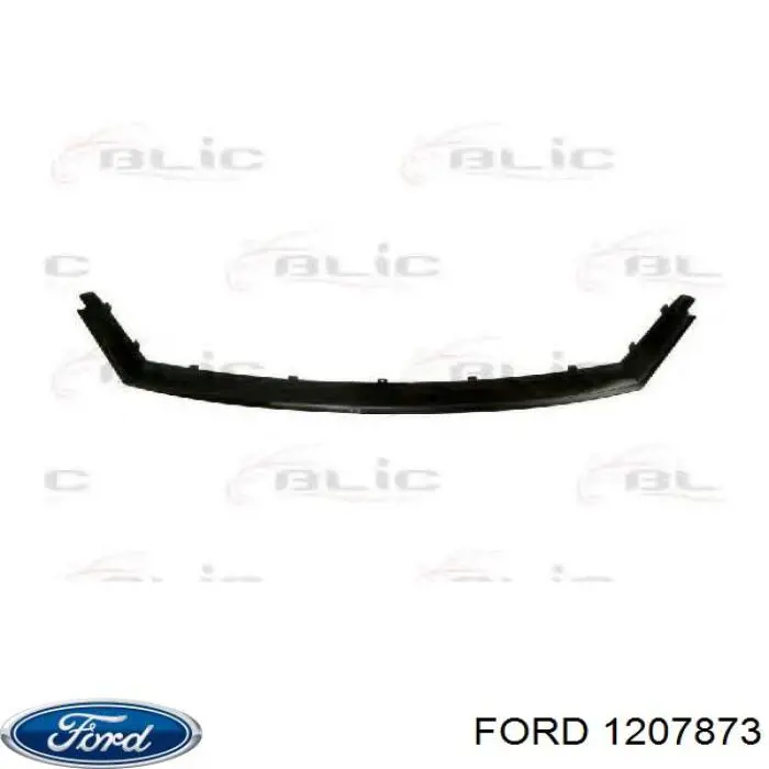  1207873 Ford