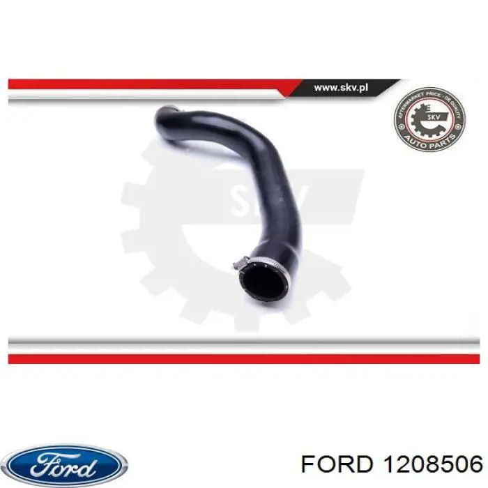 1208506 Ford 