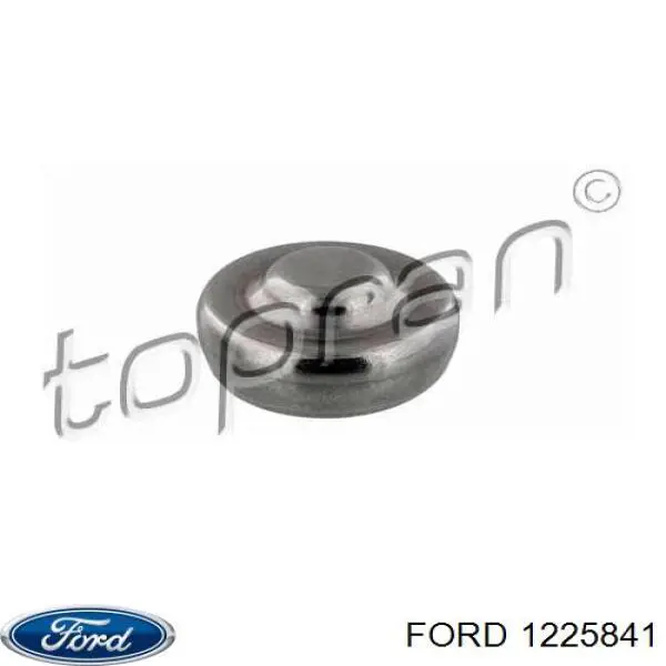 Заглушка ГБЦ 2S6Q6024AB Ford