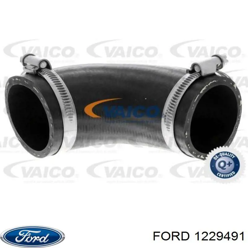 Купить 1229491 Ford Патрубок интеркулера