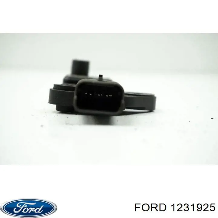 1231925 Ford ДПКВ