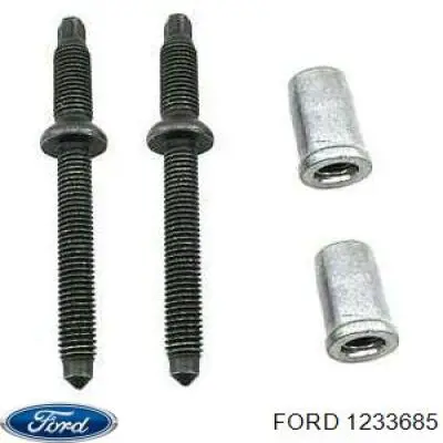 1233685 FORD Tornillo, soporte inyector original y equivalente