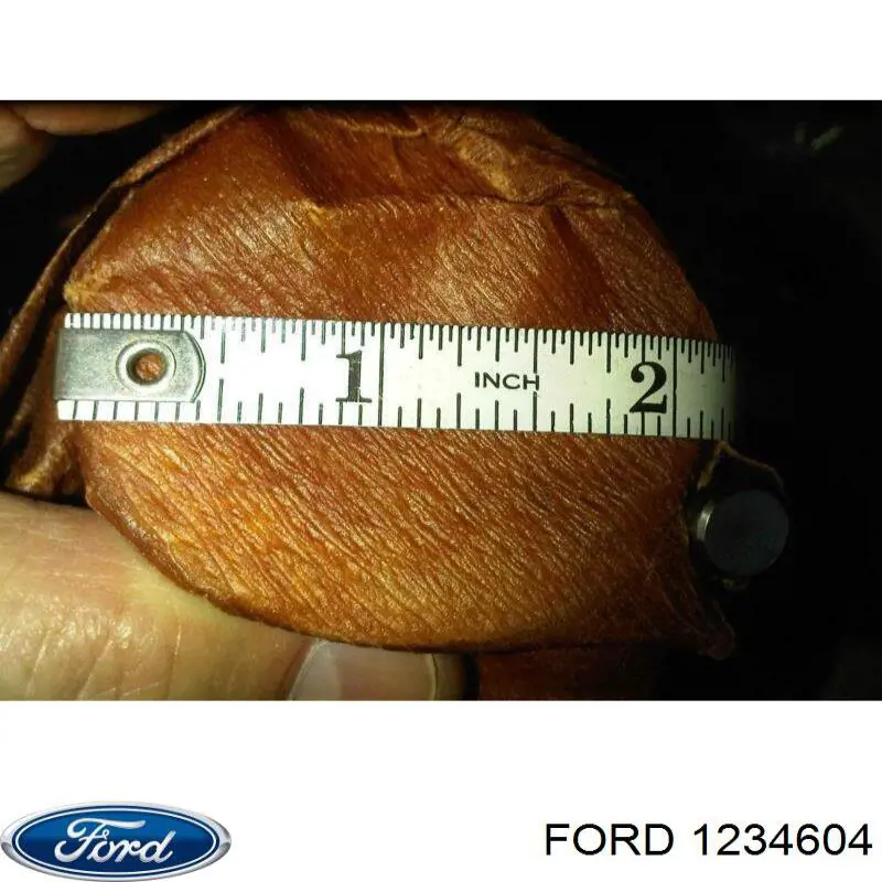  1223091 Ford