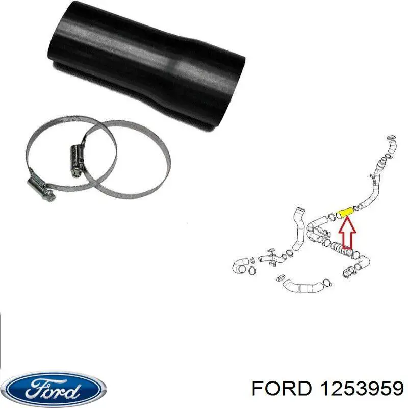  1253959 Ford