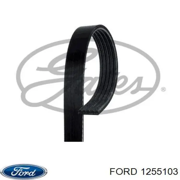 1255103 Ford Поликлиновый ремень