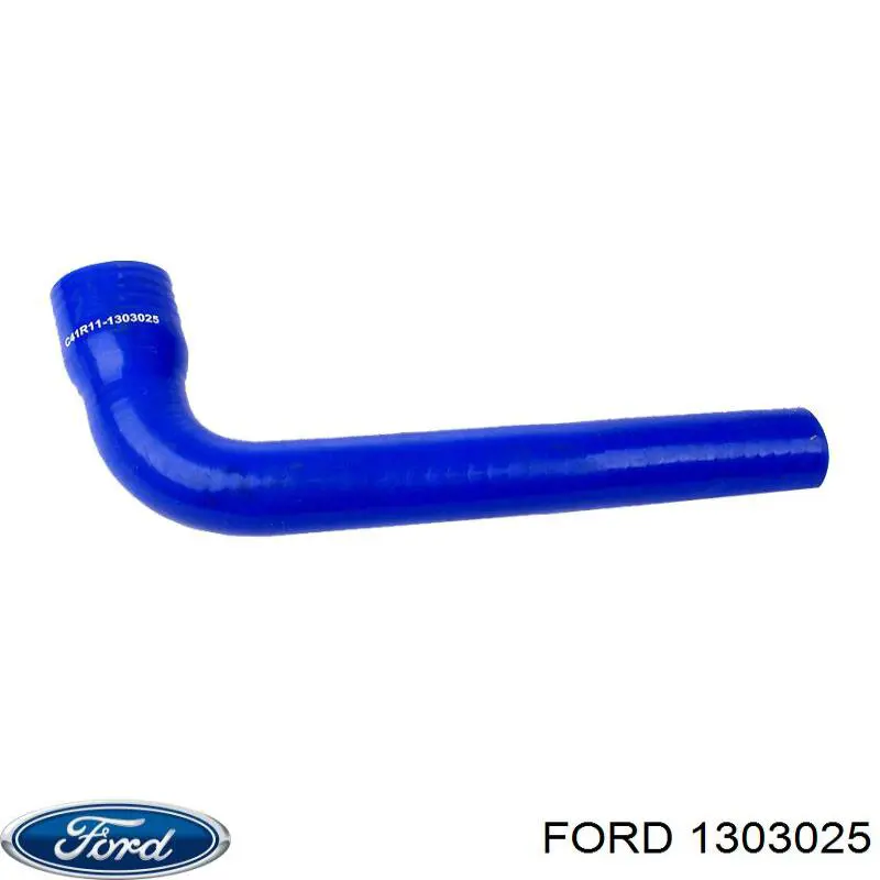 1303025 Ford 