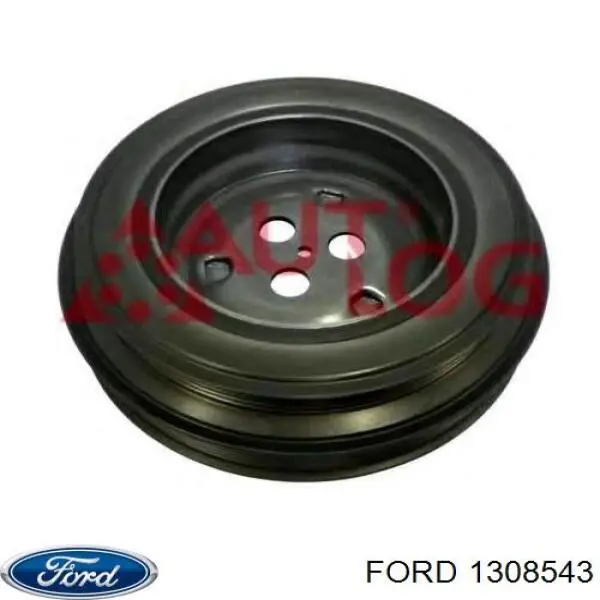  1308543 Ford