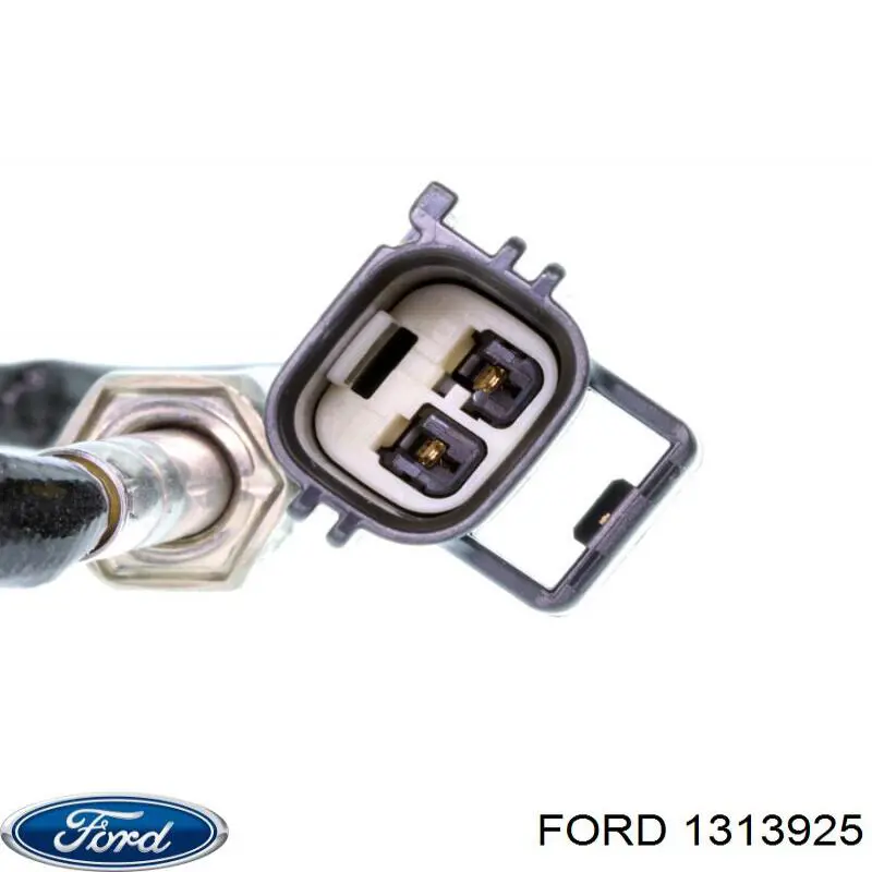 1313925 Ford
