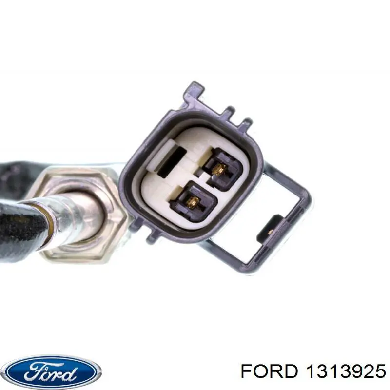 1313925 Ford 