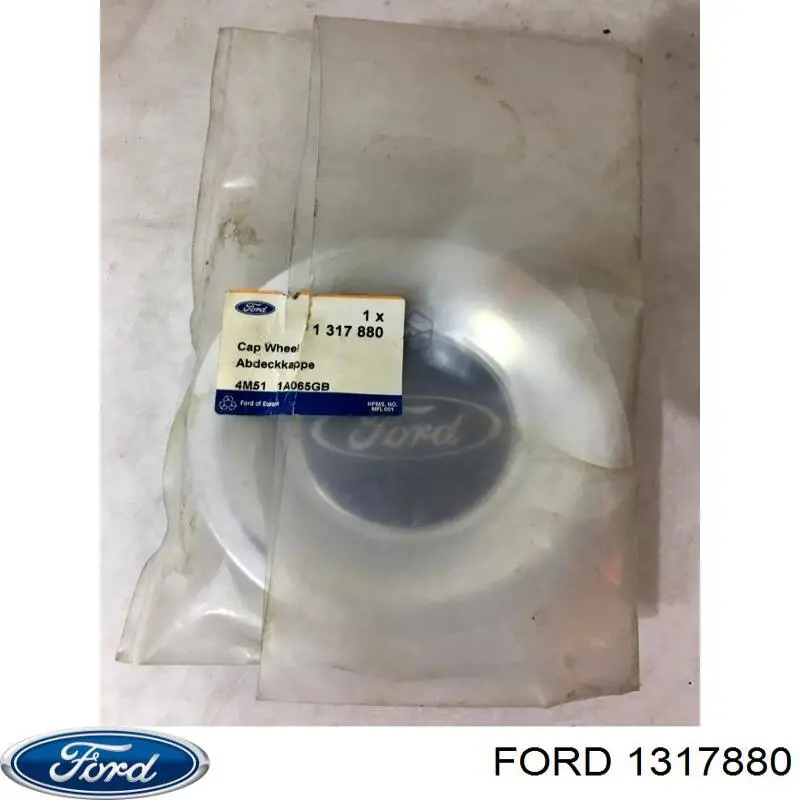  1317880 Ford