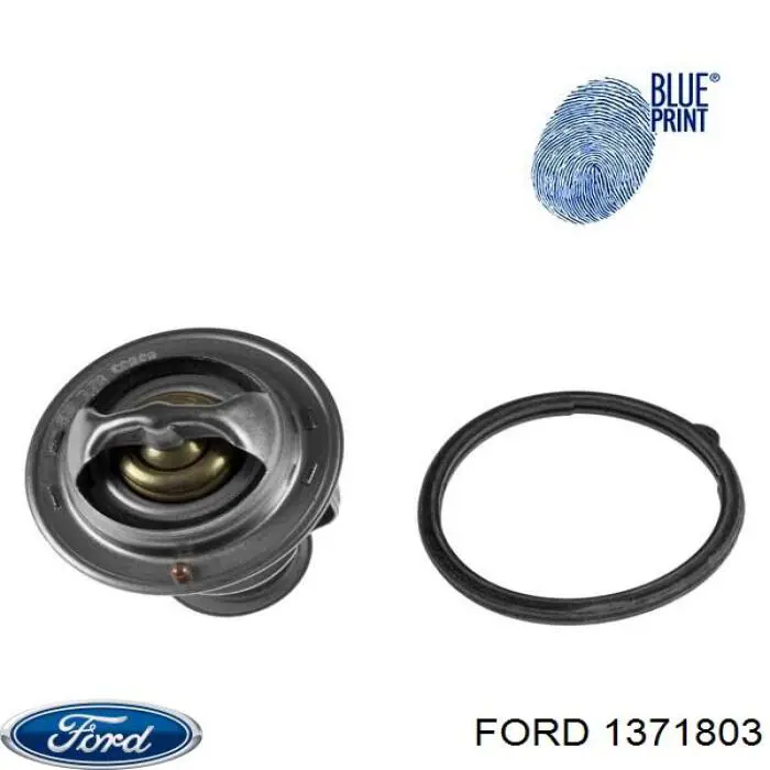  1371803 Ford