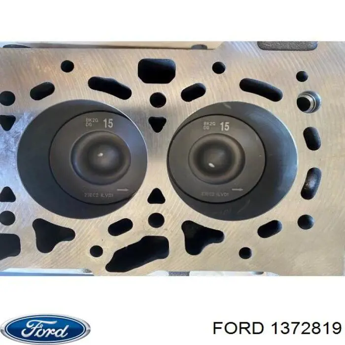 Блок двигателя Ford 1372819 цена, от 51.93 USD