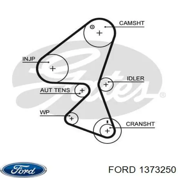 ГРМ ремни Ford 1373250