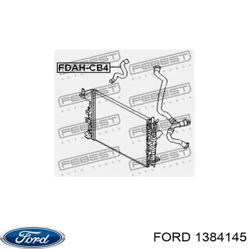 Нижний шлаг радиатора охлаждения 1384145 Ford