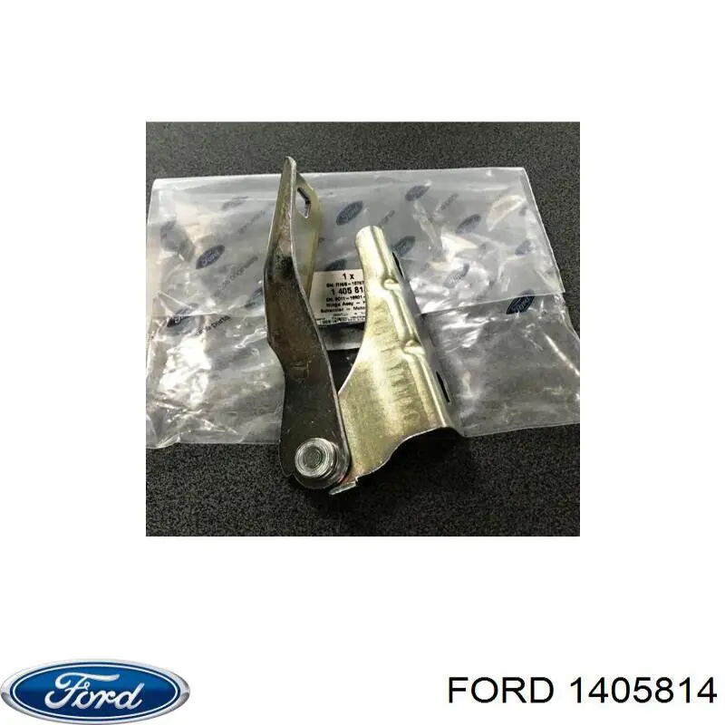 1370623 Ford петля капота левая