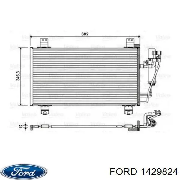  1429824 Ford