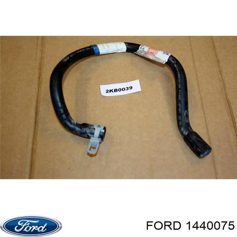 6C1119A606AA Ford 