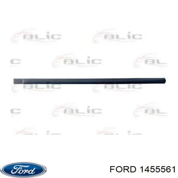 1123800 Ford moldura da porta traseira esquerda