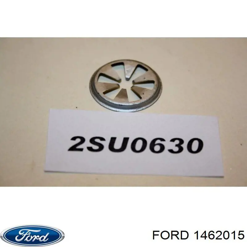 1700695 Ford 