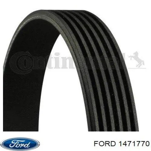 1471770 FORD Correa trapezoidal original y equivalente